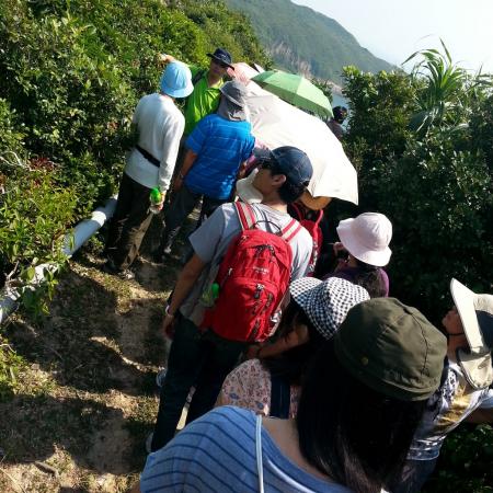 檢示大圖