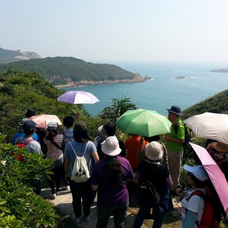 檢示大圖