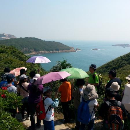 檢示大圖