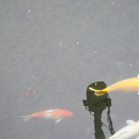 檢示大圖
