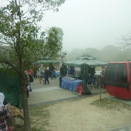 檢示大圖