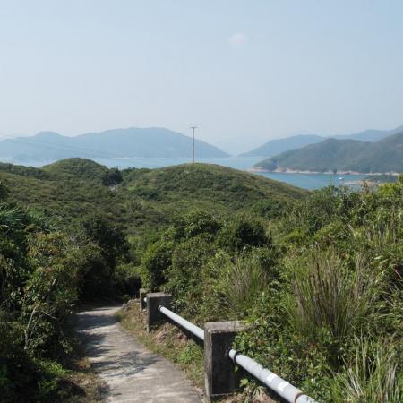 檢示大圖