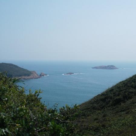 檢示大圖
