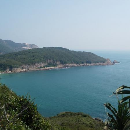 檢示大圖
